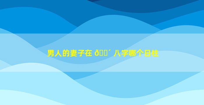 男人的妻子在 🐴 八字哪个日柱